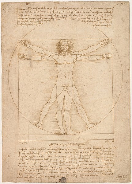 uomo vitruviano, Leonardo da Vinci 